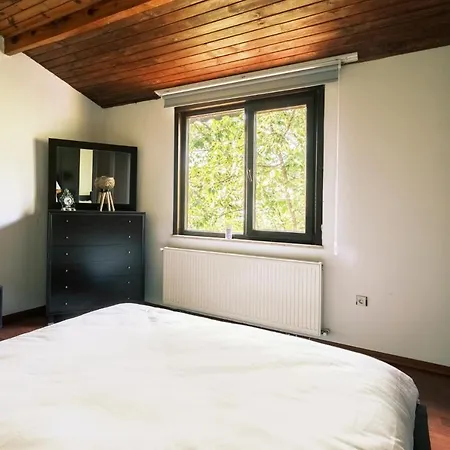 公寓 Chic Flat W Terrace Garden Fireplace In Nature 伊兹密特