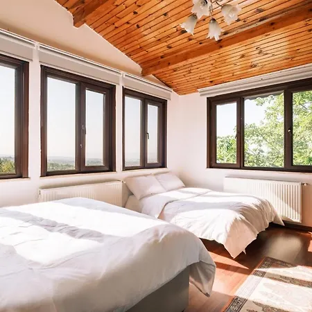 Chic Flat W Terrace Garden Fireplace In Nature 公寓 伊兹密特