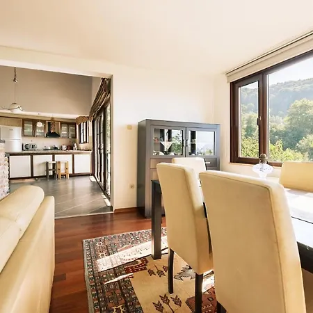 Chic Flat W Terrace Garden Fireplace In Nature 公寓 伊兹密特
