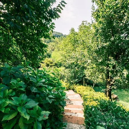 Chic Flat W Terrace Garden Fireplace In Nature Izmit